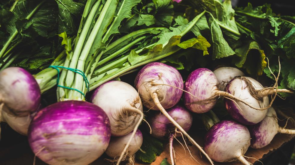 fresh turnips